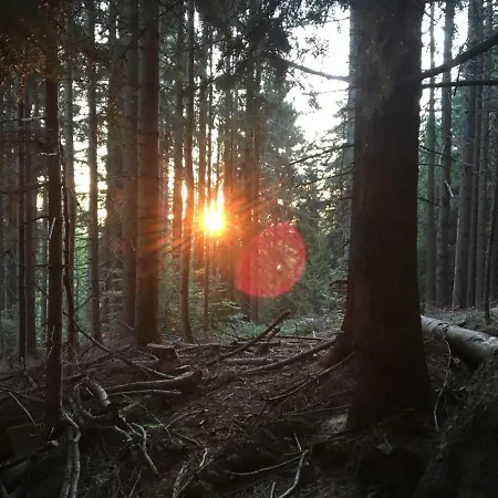 Appartement Feurle's Doren