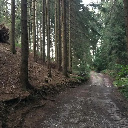 Appartement Feurle's Doren